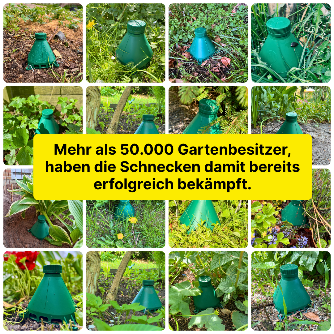 Schneckenfalle
